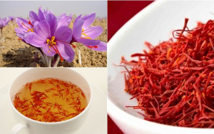 12 TÁC DỤNG KHÔNG NGỜ CỦA  NHUỴ HOA NGHỆ TÂY